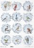 mrozem malowane, wieńce z ptakami, mysikrólik, zniczek, kardynał, sikorka, pleszka, szczygieł, gil, wróbel*decorated with frost, wreaths with birds, goldcrest, firecrest, redbird, titmouse, redstart, goldfinch, bullfinch, sparrow